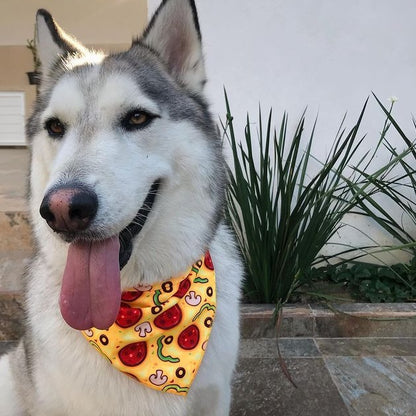 Bandana de Pizza