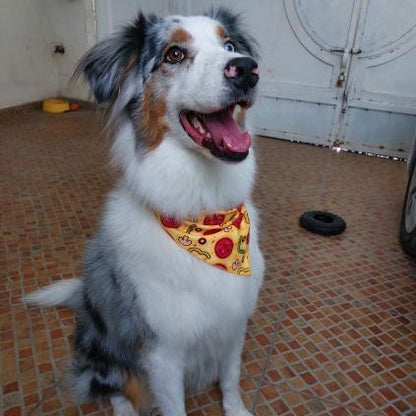 Bandana de Pizza