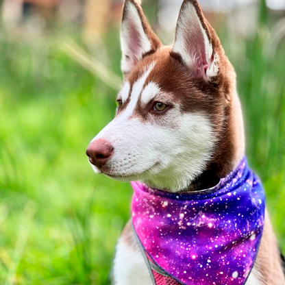 Bandana Supernova 🌌