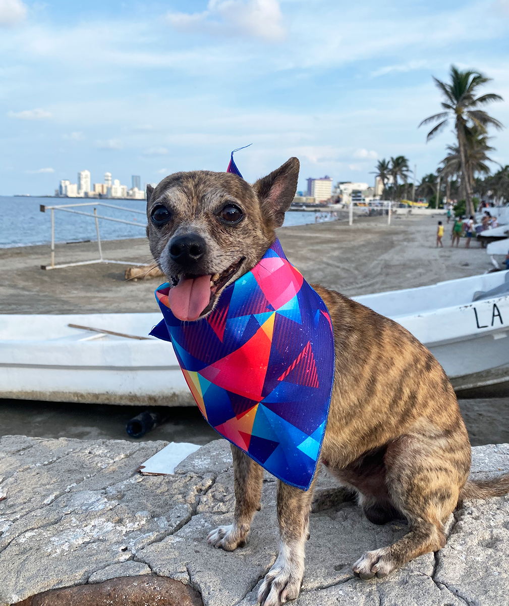 Bandana de Triángulos