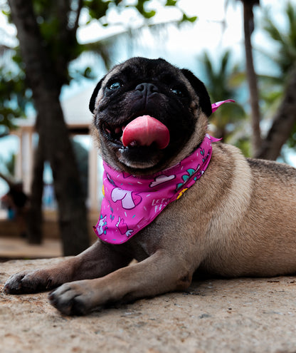 Bandana de Unicornio 🦄