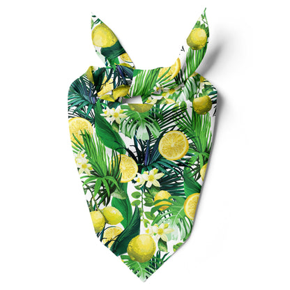 Bandana de Limones 🍋