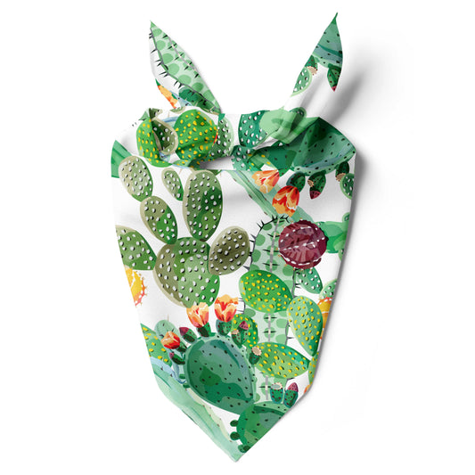 Bandana de Cactus 🌵